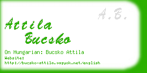 attila bucsko business card